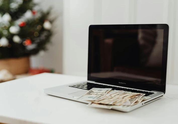 Niche Sites: How to Create a Website That Earns Money from Ads Without Daily Writing