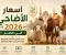 صورة مقال أسعار الأضاحي 2026 في مصر: دليل شامل بالأسعار الحقيقية والشروط والأحكام