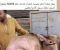 صورة مقال عجل بملامح غير مألوفة يثير تفاعلًا واسعًا بسبب سعره البالغ 50 ألف جنيه