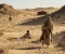 صورة مقال قصة سيدنا إسماعيل عليه السلام: رمز الصبر والطاعة.