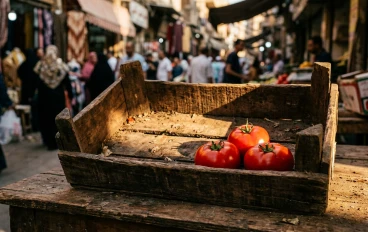 ارتفاع جنوني لأسعار الطماطم في مصر: هل تتجاوز الـ 60 جنيهًا للكيلو؟ وما هو موعد الانفراجة؟