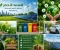 صورة مقال الاقتصاد الأخضر الطريق نحو عالم أكثر استدامة