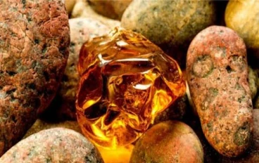 حجر الكهرمان: أسرار الحجر الذهبي وفوائده وأنواعه واستخداماته