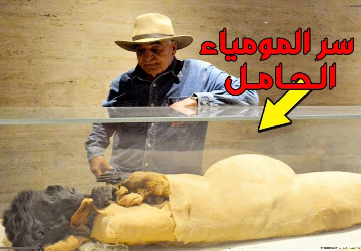 حقيقه المومياء الحامل