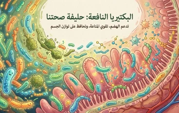 البكتيريا النافعة (ضيفك الخفي)