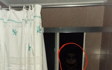 حكاية فردوس و لغز الحمام 