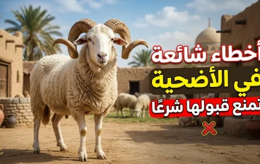 7 أخطاء شائعة قد تُفسد أضحيتك في عيد الأضحى