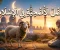 صورة مقال الأضحية في الإسلام: عبادة عظيمة ومعاني لا تُنسى