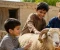 article image for عيد الأضحى.. حين تجتمع الطاعة والرحمة وفرحة العائلة في أعظم أيام المسلمين.