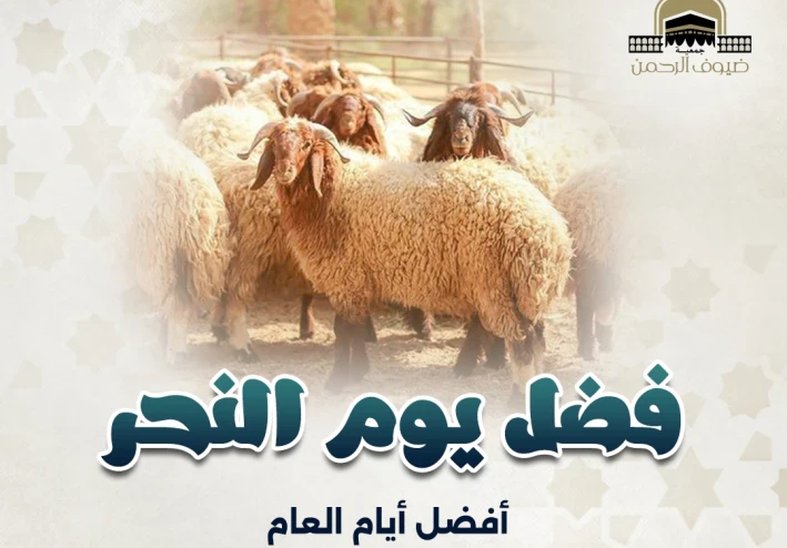 شعيرة الأضحية: قربان الطاعة والتكافل في يوم النحر