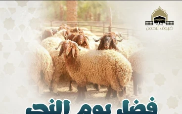 شعيرة الأضحية: قربان الطاعة والتكافل في يوم النحر