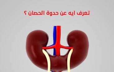 الفرق بين الكلى حدوة الحصان و الكلى الطبيعى اسرار طبية ؟؟؟