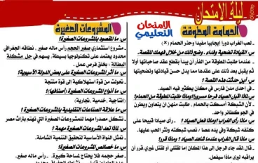 ملخص القراءة للصف الثالث الإعدادي الترم الثاني: دليلك الشامل للتميز