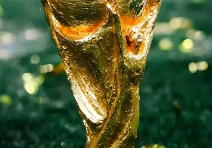 تاريخ كأس العالم