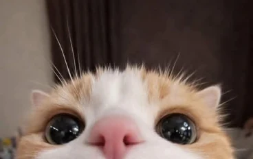 هل نعيش لرغباتنا أم لتوقعات الآخرين؟
