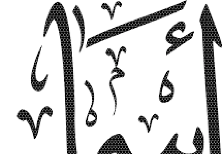 أسماء عربية لها مقابل إنجليزي: جسور ثقافية تعبر اللغات