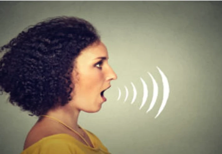 تركيب الأذن وآليه السمع عند الإنسان