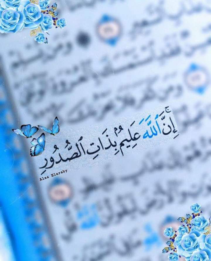 هالة الصورة الشخصية