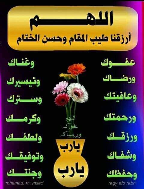  Asmaa Fayez Profilbild