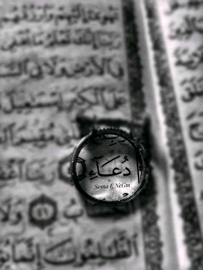 دعاء عوضين  جلال  الصورة الشخصية