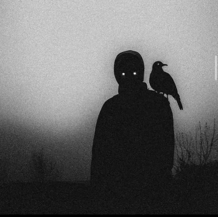 ملك الليل 👑 Photo de profil.