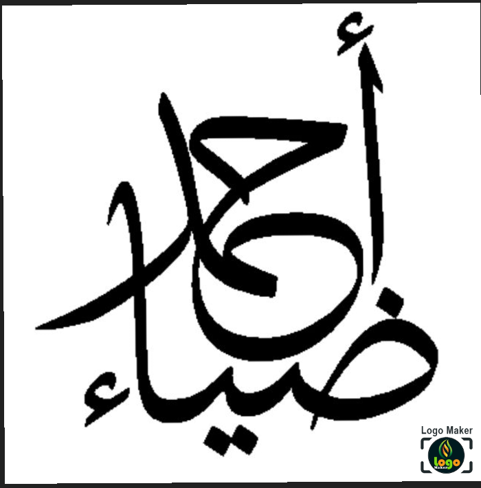 Ahmed Diaa profilbild.