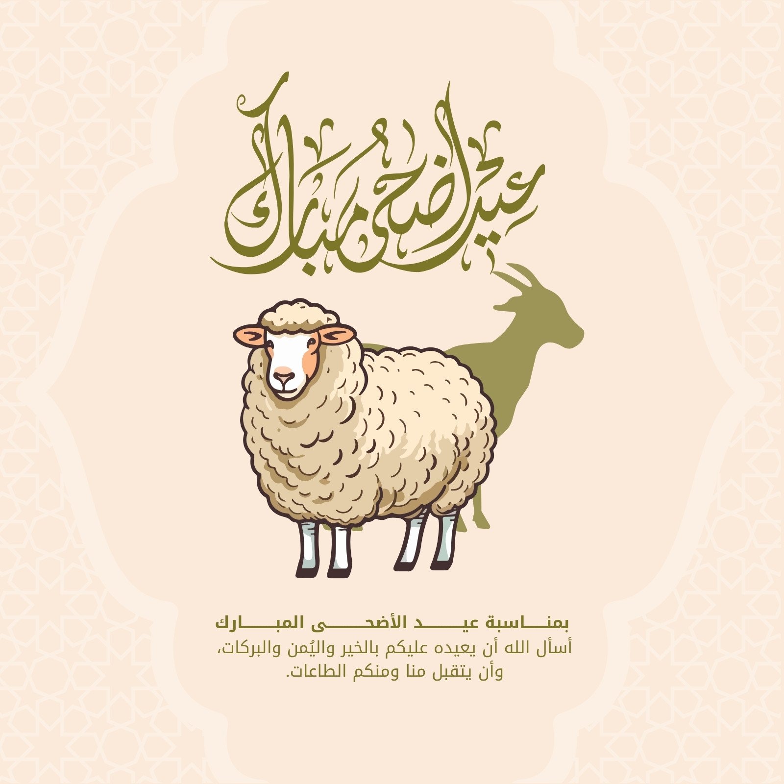Asmaa Shawky profilbillede.