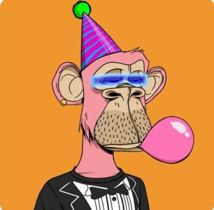 amwalynet gambar profil.