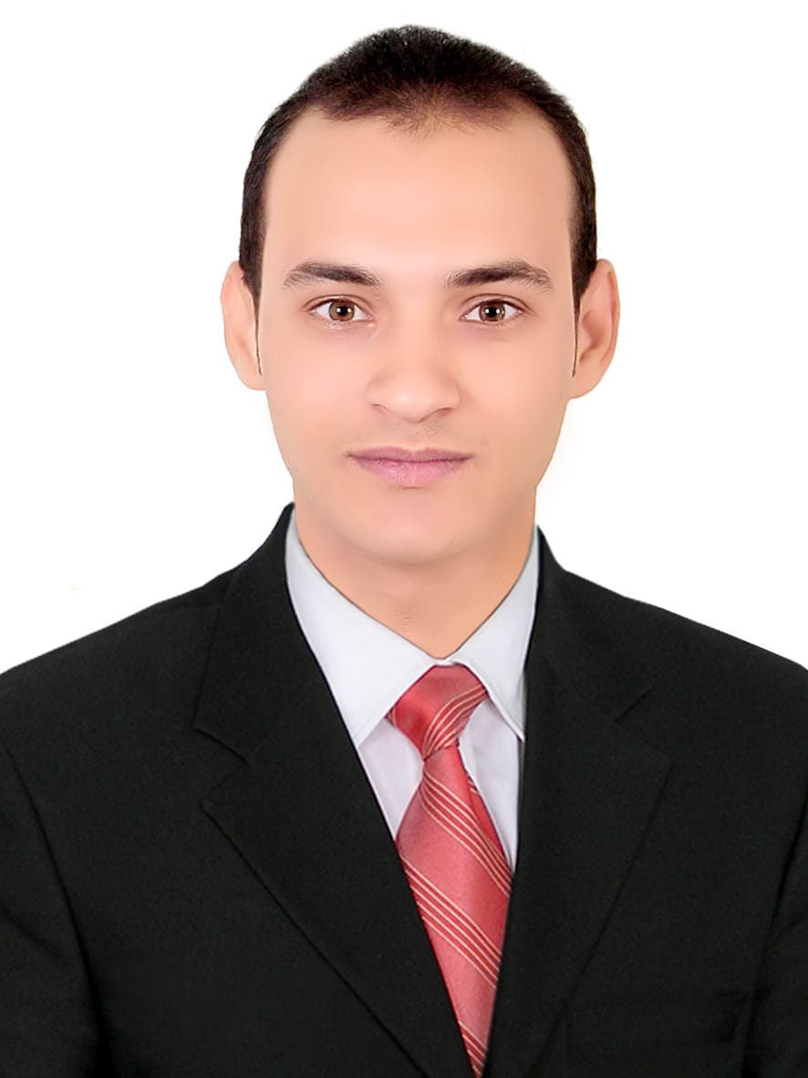 هشام حنفي محمد الصورة الشخصية
