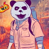 باندا PANDA الصورة الشخصية