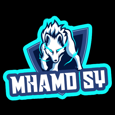MHAMD SY الصورة الشخصية