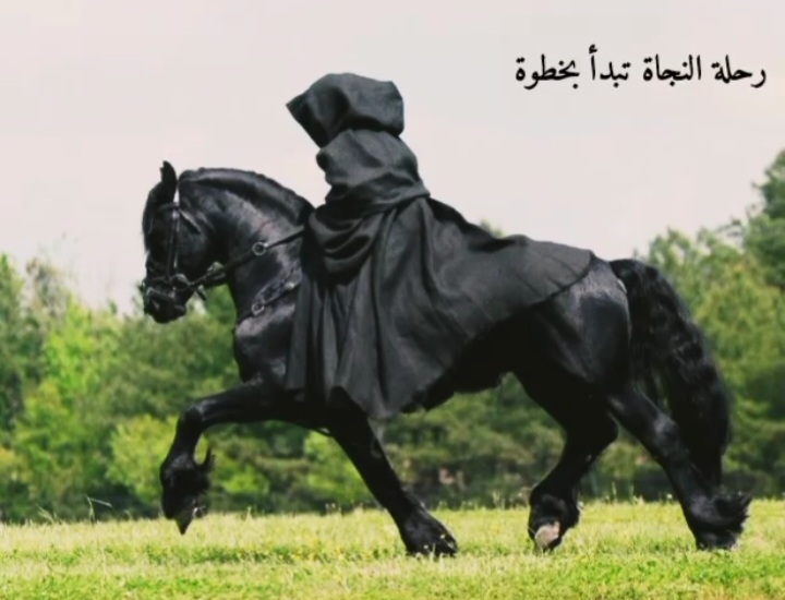 نعمه عبدالحليم profiel foto.