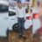 Mohamed Mustafa profile picture.