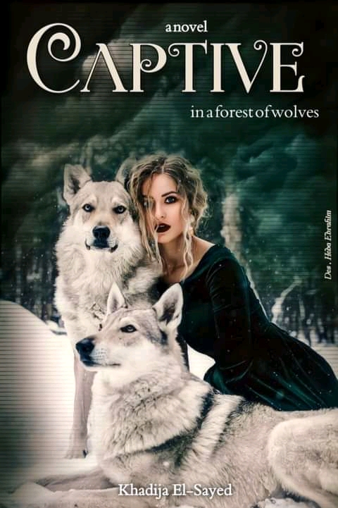 Cinderella stories and novels Фото профиля