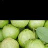 Abeer Abeer الصورة الشخصية