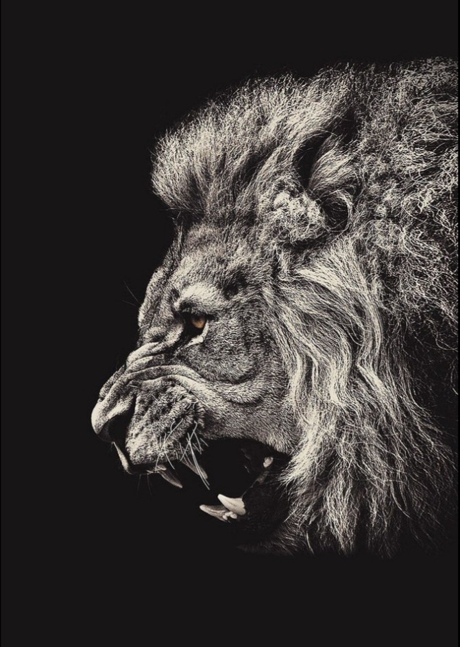 عبدالعزيز محمد حمود Profilbild