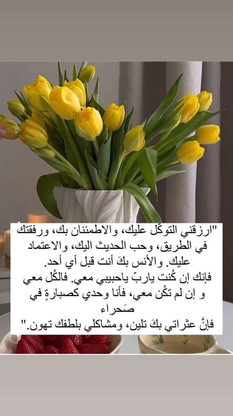 Somaia mahmoued profilbild.