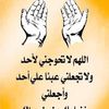 إسلام رباح الصورة الشخصية