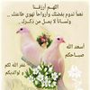 Shahd Ibrahim الصورة الشخصية