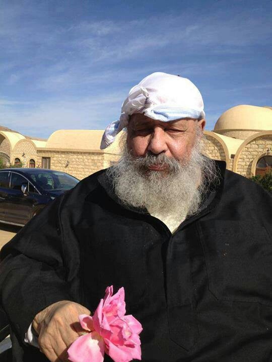 يسي عادل  الصورة الشخصية