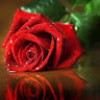 za ha