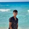 Noor El Gohary