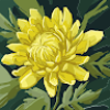 The flowers