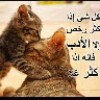 asem sawaf
