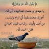 Kout Al Koloub Mohammed Eid