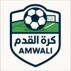 The information about football