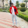محمود السيد
