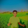 زياد فوزي