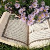 صورة حساب Alaa Elweshahy