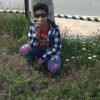 محمد الشبح